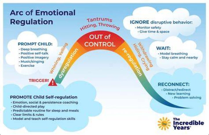 A Discovery Into Emotional Regulation And Positive Behavior